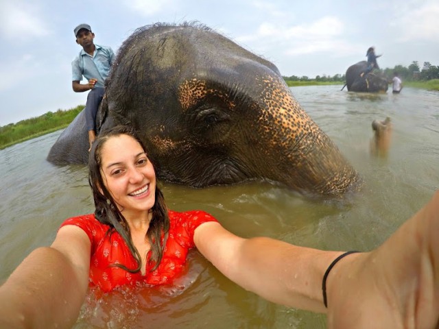 Study Abroad Picture with Elephant