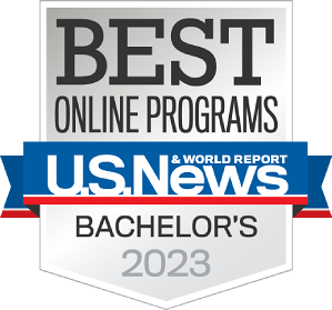 Best Online Program Badge 1