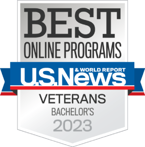 Best Online Program Badge 2