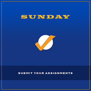 The word Sunday over a checkmark in a circle with the text Submit Your Assignments underneath