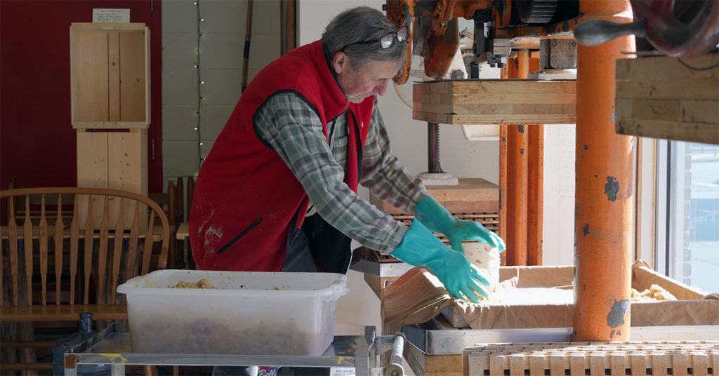 Gentleman in red vest, plaid shirt and wearing light rubber gloves is operating an apple press to extract apple juice.