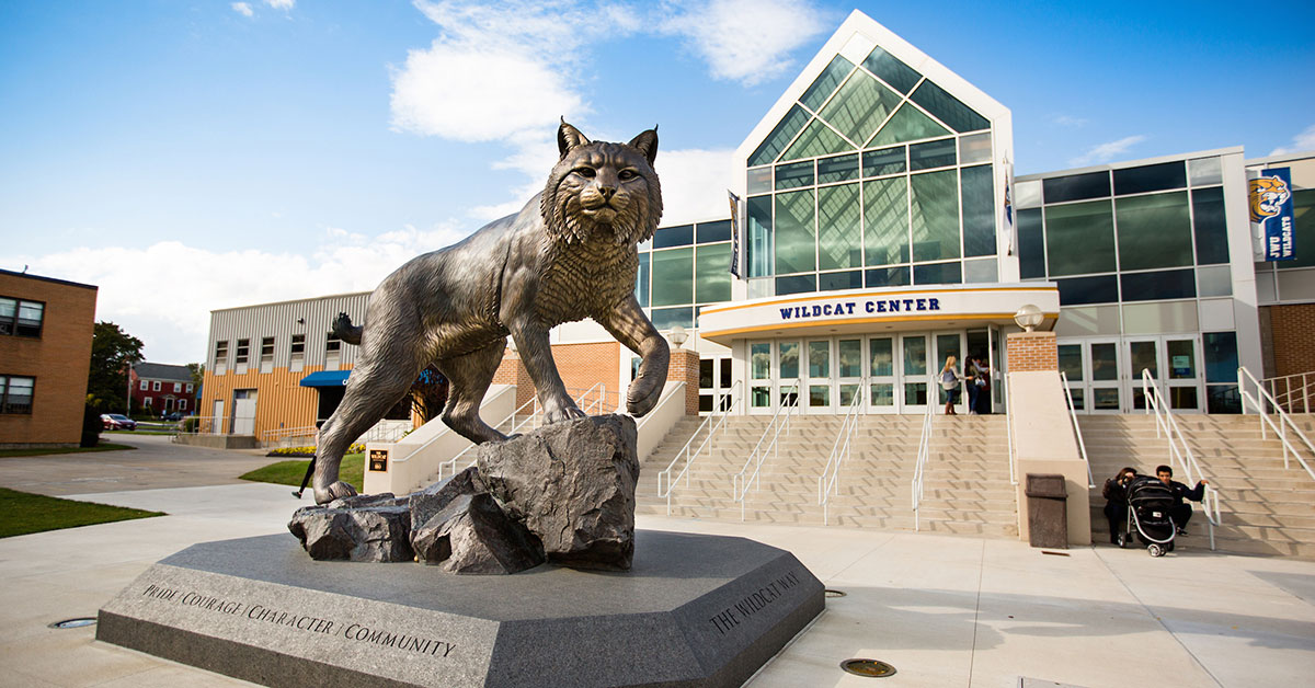 Embracing the Wildcat Way at JWU Online banner