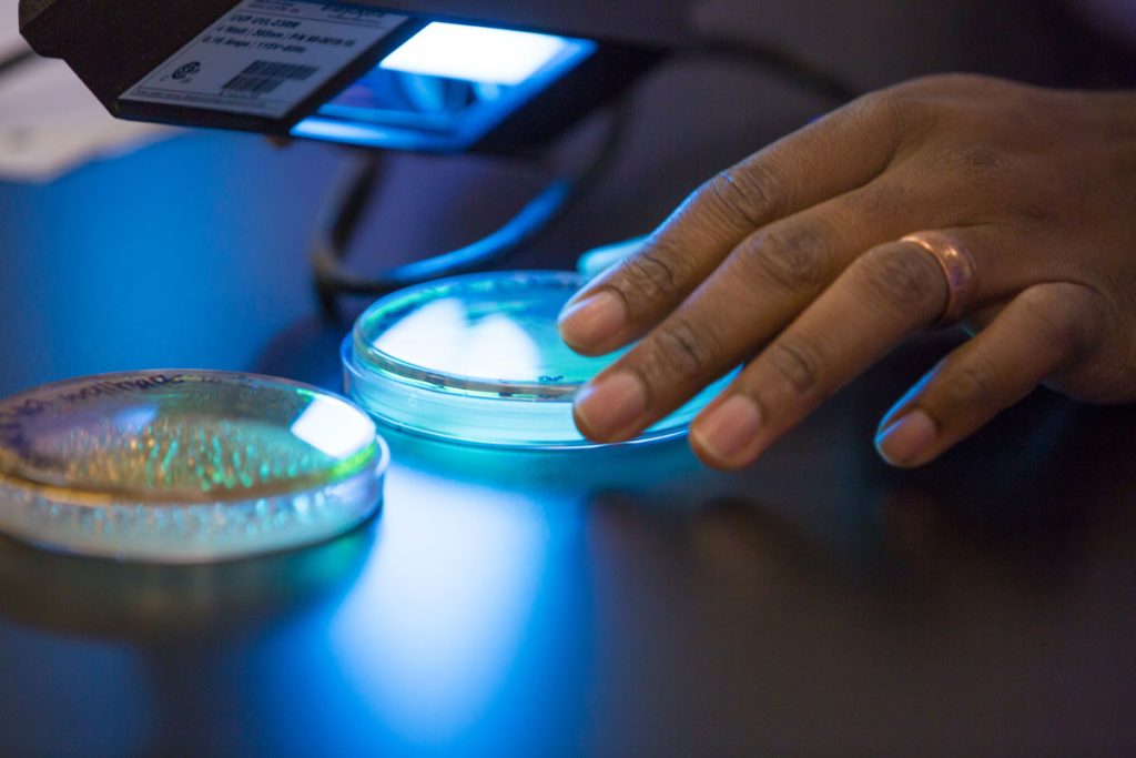 Magnifier held over hand holding cover of a petri dish.