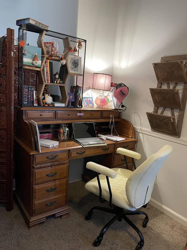 Online student. Kristin Dobbins, shares a photo of her personalized home workspace.