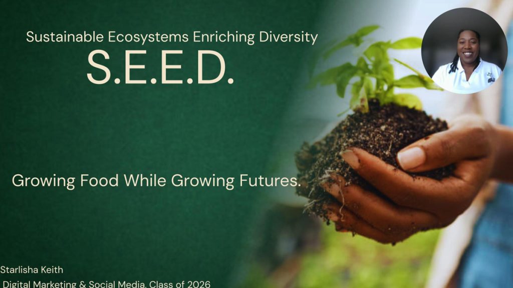 S.E.E.D. (Sustainable Ecosystems Enriching Diversity) Title Slide